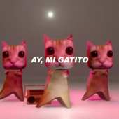 ay mi gatito miau miau