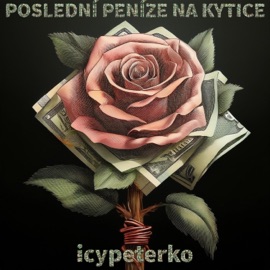 POSLEDNÍ PENÍZE NA KYTICE icypeterko