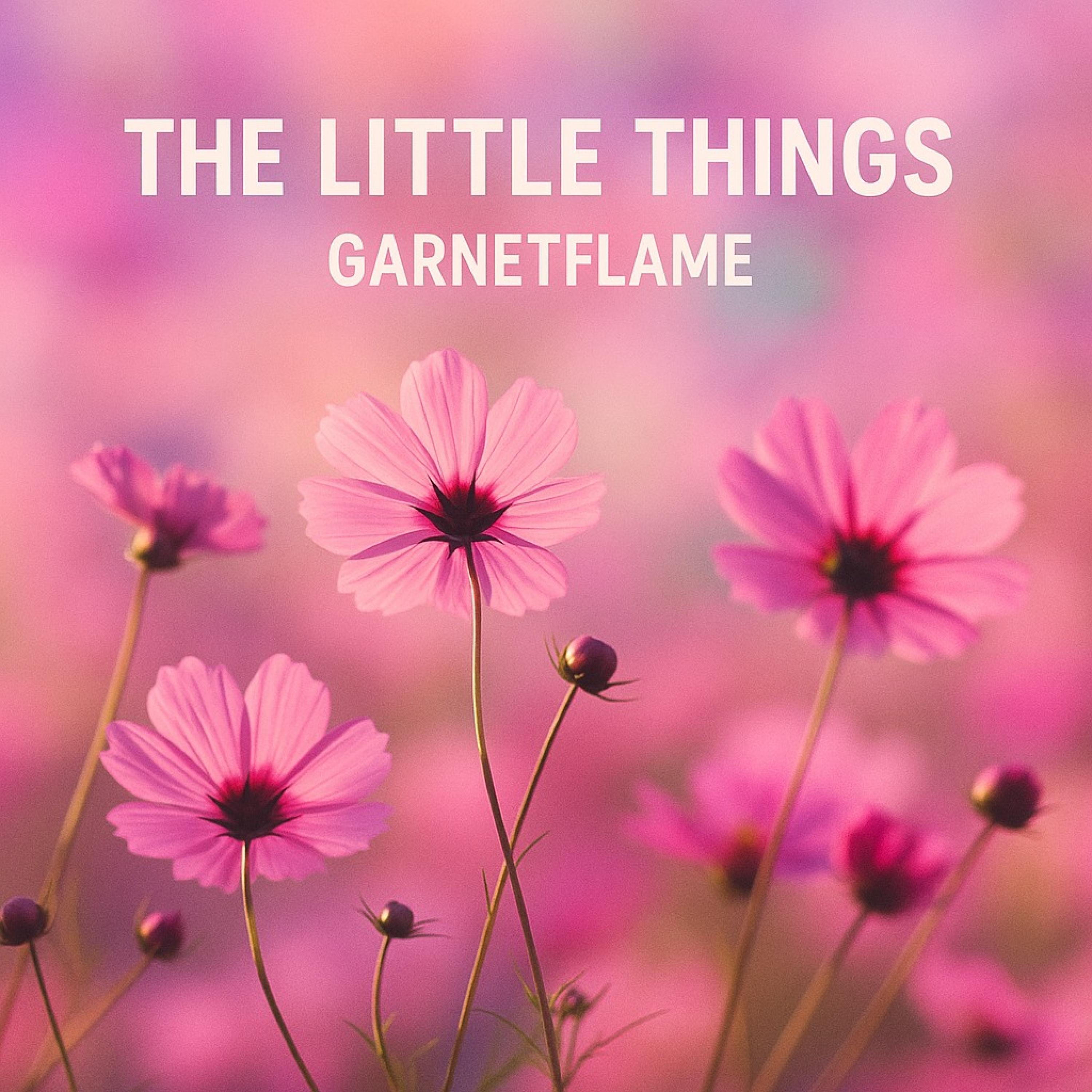 The Little Things - Single