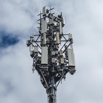 Powdered Sugar - Single