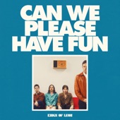 Can We Please Have Fun artwork