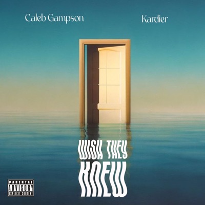 Wish They Knew (feat. Kardier) [Radio Edit] - Single