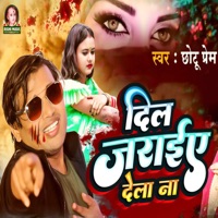 Dil Jaraye Dela Na - Single - Chhotu Prem