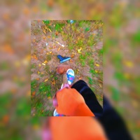 Without A Diss - Single - Bbghuey