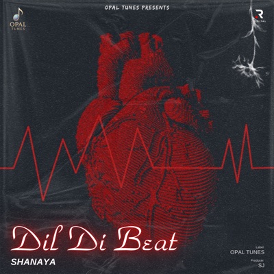 Dil Di Beat - Single