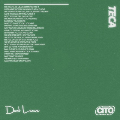 Don't Leave - Single