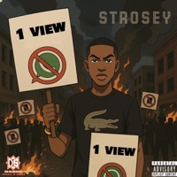 One view - Single - Strosey