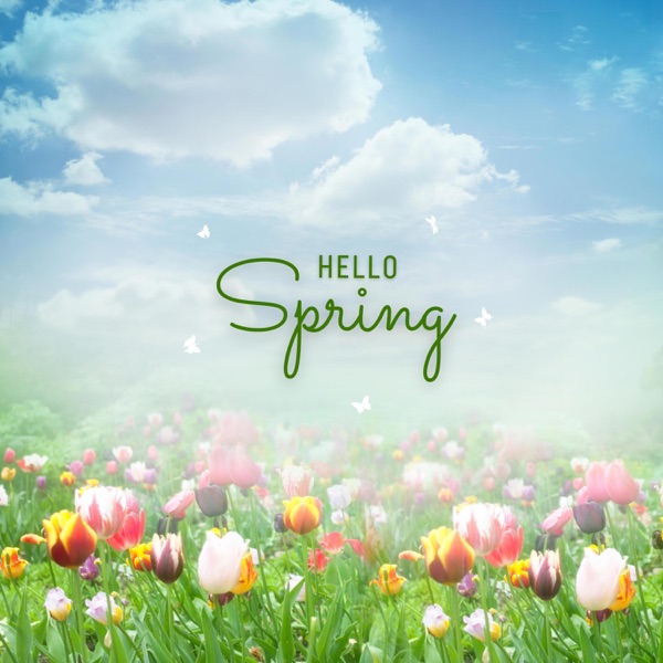 Hello Sprimg