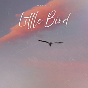 Little Bird - Single