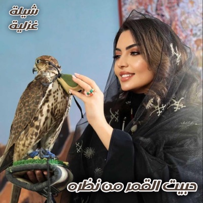 شيلات_يمنية_حصرية - شيلة - حبيت القمر من نظره