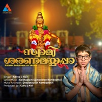 Swami Saranam Ayyappa - Single - Aditya G Nair & Kaithapram Damodaran Namboothiri
