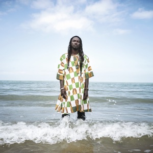 Falle Le Le Le (Joe Goddard Remix) - Single