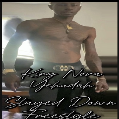 Stayed Down - Single