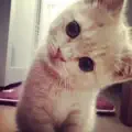  - Youre Always On My Mind