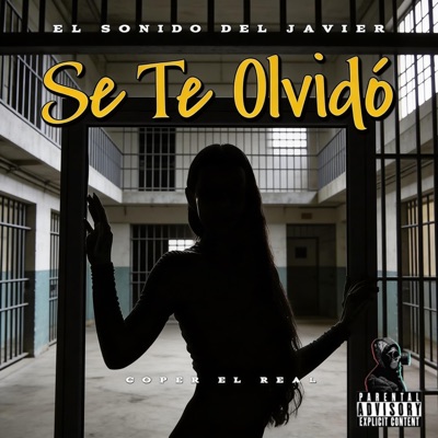 Se Te Olvido - Single