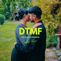 DtMF (Bachata Version) - Single - Akai Rojas