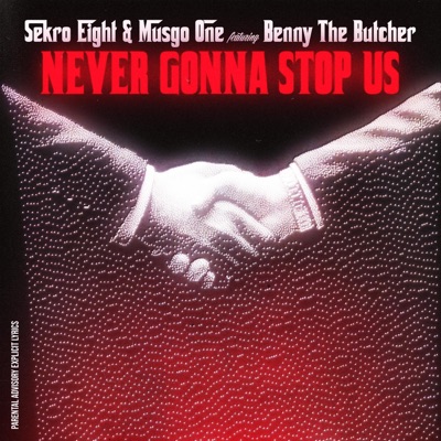 Never Gonna Stop Us - Single