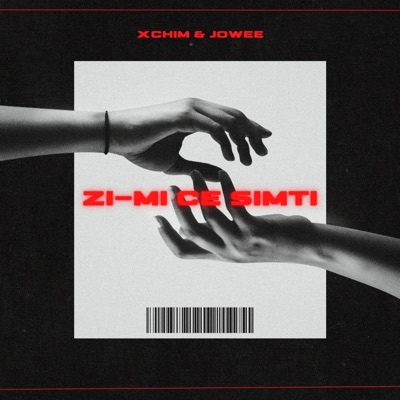 Zi-mi Ce Simti (feat. Jowee) - Single