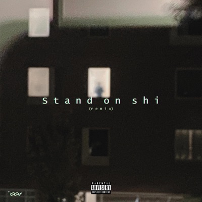 stand on shi (Remix) - Single