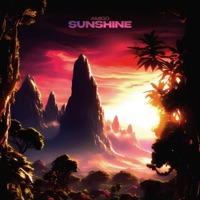 Sunshine - Single - Amigo