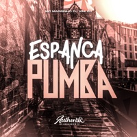 Espanca Pumba (feat. Mc Magrinho) - Single - DJ VINI 011
