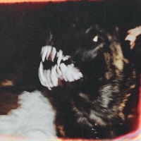 NOBODY - Single - lil sad