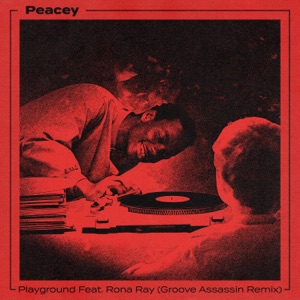 Playground (Groove Assassin Remix) [feat. Rona Ray] - EP