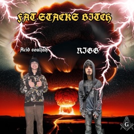 Fat stacks bitch (feat. Acid souljah) RIGG