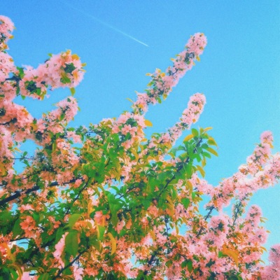 a lover's diary (EP) - EP