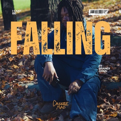 Falling (feat. Brandi Janai) - Single