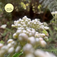 Balance and Complexity - Single - Art vs. Science