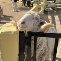 ฉันพอมีสิทธิ์ไหม - Single - ZAMNAP