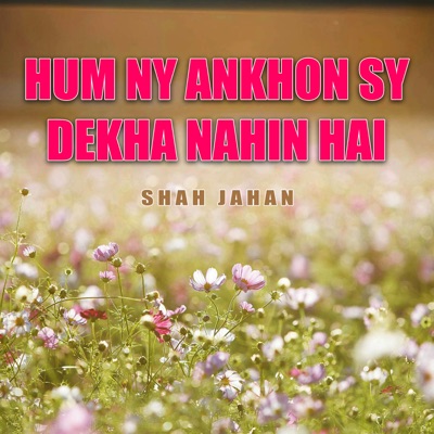 Hum Ny Ankhon Sy Dekha Nahin Hai - Single