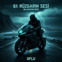 61: Rüzgarın Sesi (feat. Blackpanther6161) - Single - ELFY IZ