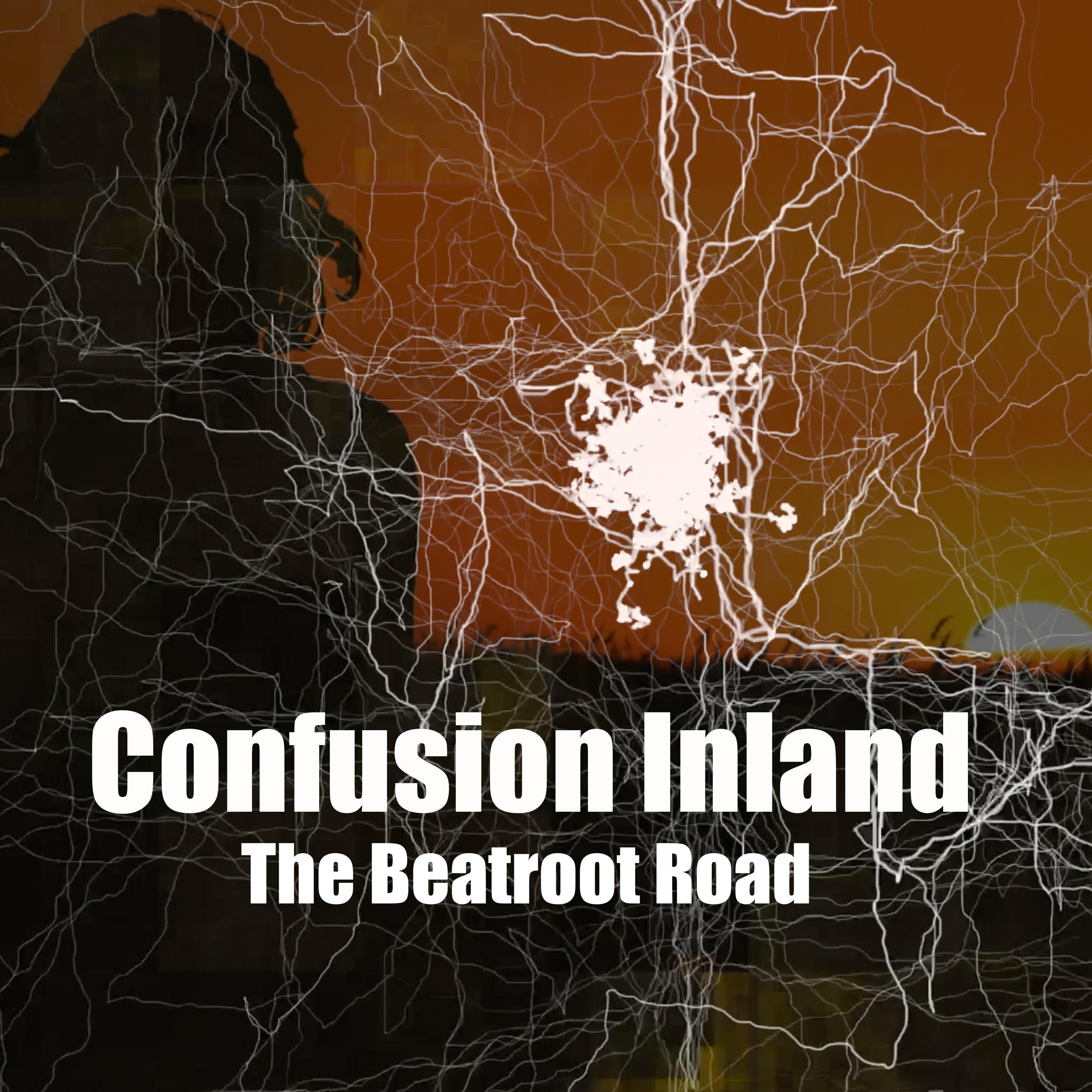 Confusion Inland - Single