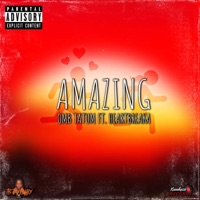 Amazing (feat. Heartbreaka) - Single - Tay Babyy