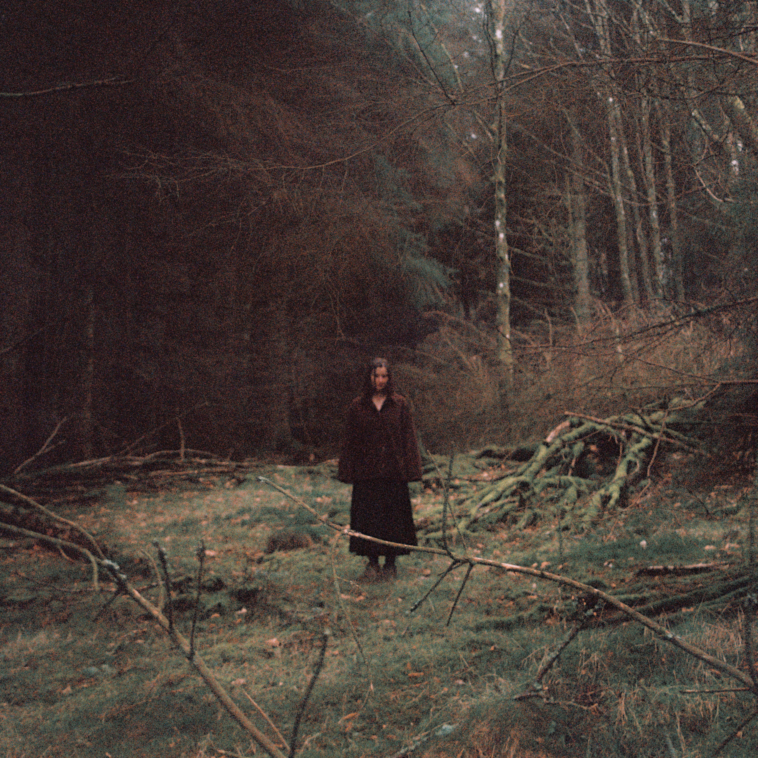 In My House / Like a Thorn - Single