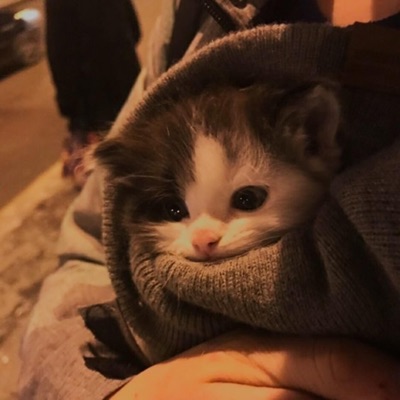 Mihaylovic - Hahaha Boing (sped up)