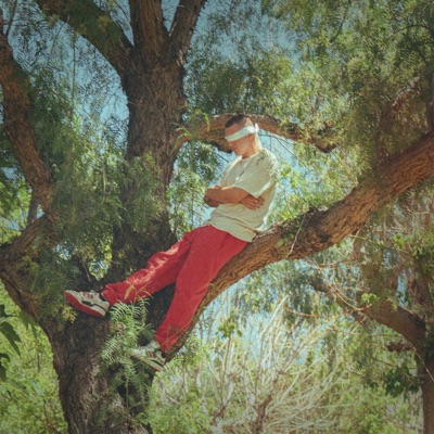 Y tú no lo ves (feat. D.Rooms) - Single