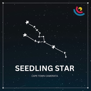 Seedling Star - Single