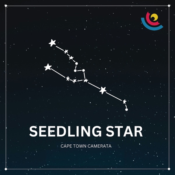 Seedling Star - Single