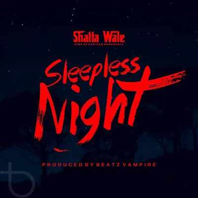 Shatta Wale adlı sanatçının Sleepless Night - Single albümünü dinle