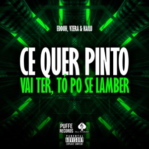 Ce Quer Pinto, Vai Ter, Tó Po Se Lamber (feat. Edduh)