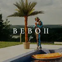 Bebo 2