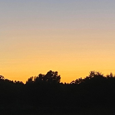 Circumstances (INDICA) - Single