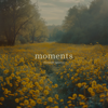 Olexandr Ignatov - Moments kunstwerk