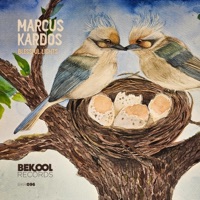 Blessful Lights - Single - Marcus Kardos
