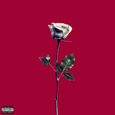 Moment 4 Life - Single