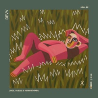 Heal EP (Incl. Sublee & Vern Remixes) - Devv