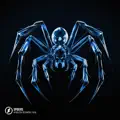 Spiders